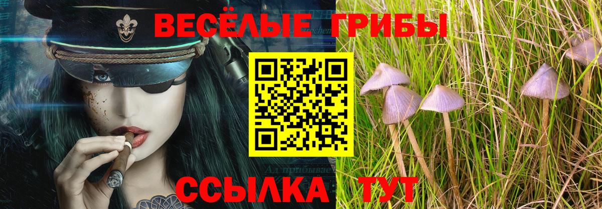 Галлюциногенные грибы ЛСД Омск
