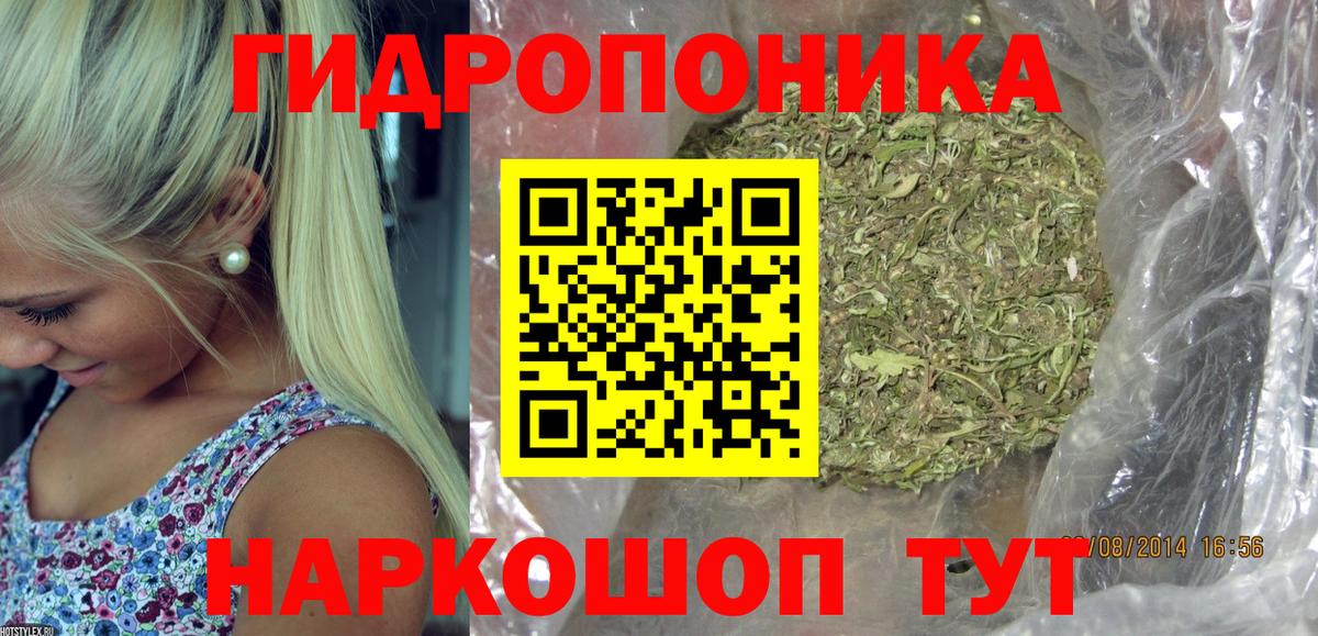 Марихуана конопля Омск
